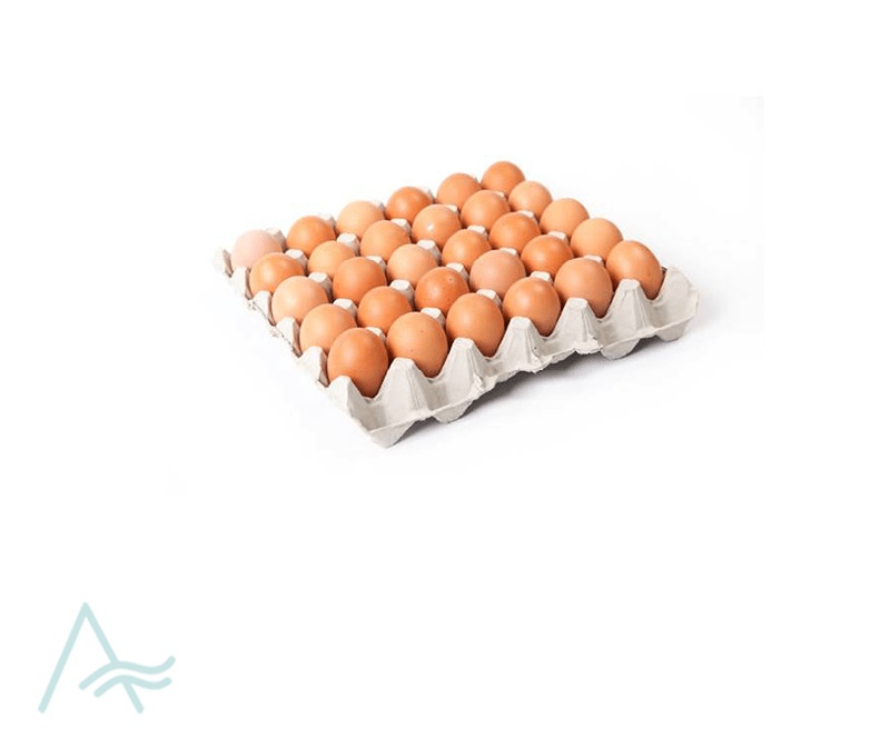 HOLLYFIELD BROWN EGG 30S